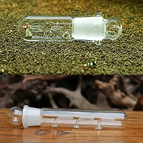 4PZ Trappola Planarie in Vetro Trasparente, Vetro di Cristallo Planario Trappola Planaria Trap Cattura Planaria per Catture Le Planarie Forniture per Pulizia Acquario (2 Fori, 3 Fori e 8 Fori) - Image 8