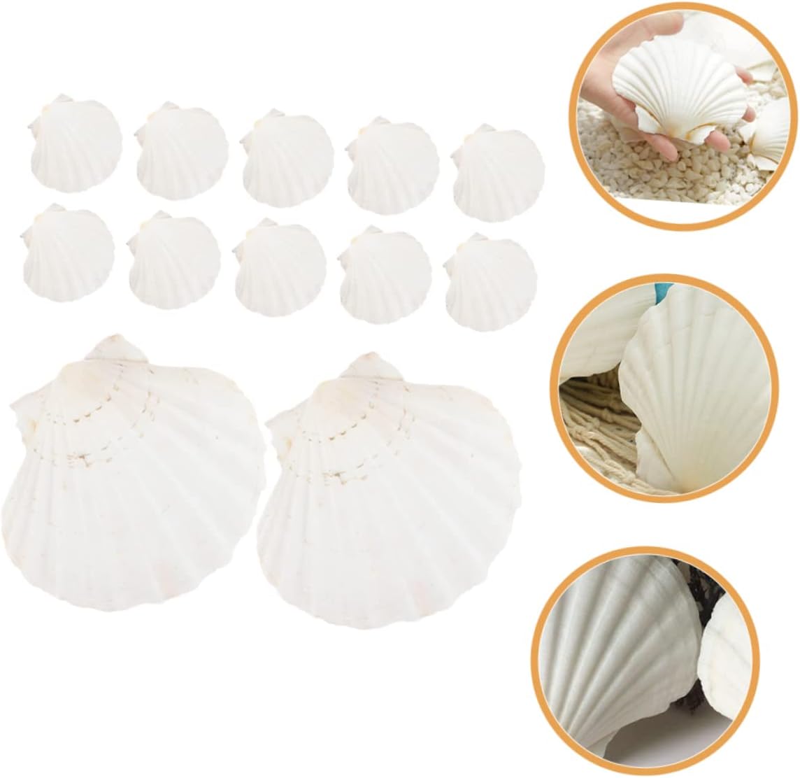 LABRIMP 12pcs Scallop Plates Shell Bowl Edible Shells for Baking Grilling Party Craft Decorations