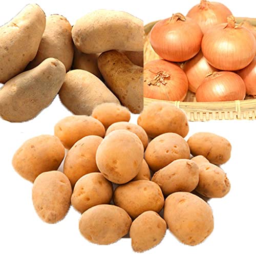 Ⴊ3Zbg (j݁Eʂ˂E[NCie2kgj)