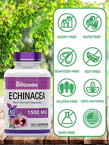 Tnvitamins 9890 Echinacea Capsules (1500 Mg X 180 Capsules) | Supports Health & Well-Being | Echinacea Root Herbal Extract Supplement thumb #5