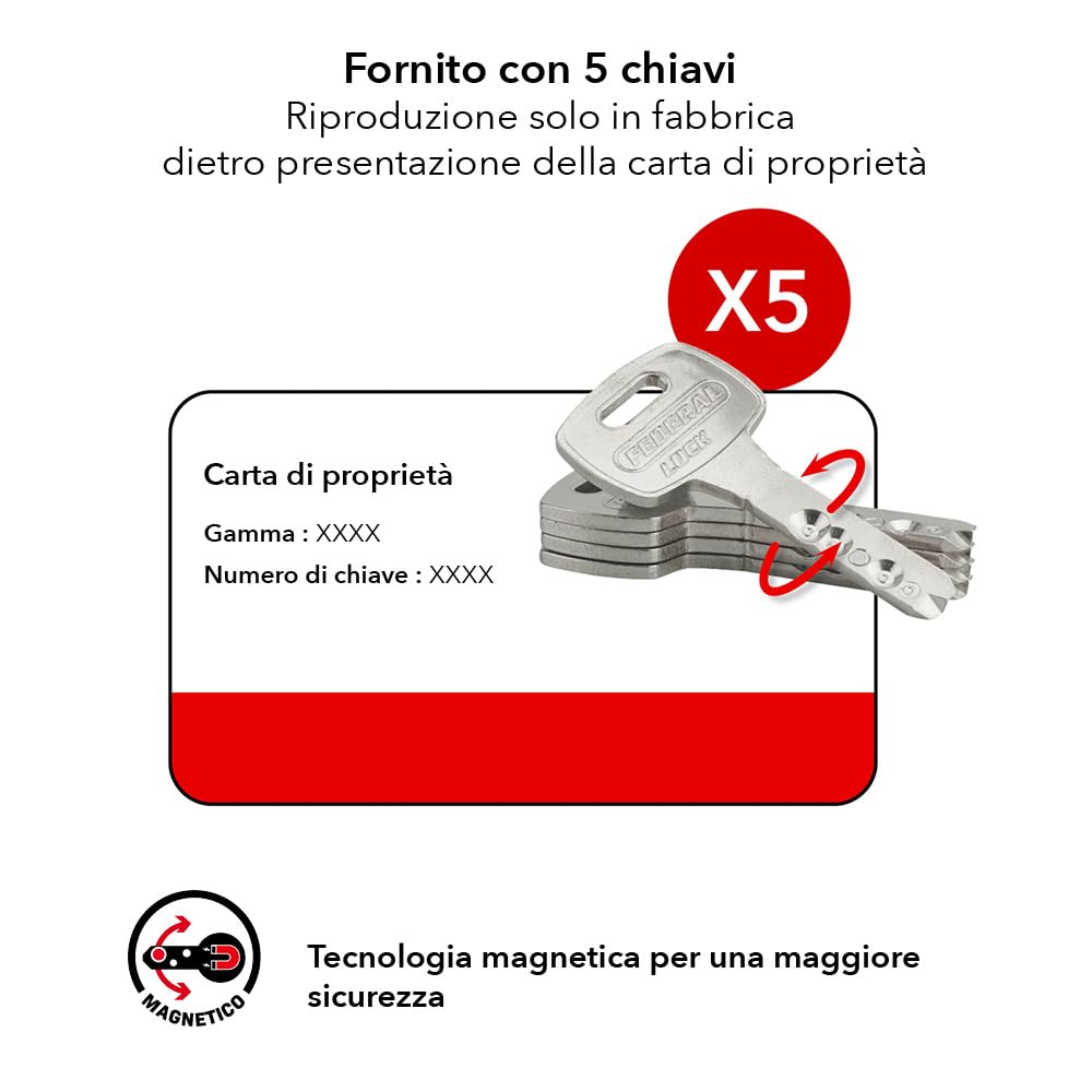 THIRARD - Cilindro Serratura Doppia Entrata Federal S - Alta Sicurezza - Anti-Strappo, Anti-Trapano, Anti-Scasso, Anti-Snap, Anti-Bumping - 35 x 35 mm - Grigio - 5 Chiavi Reversibili