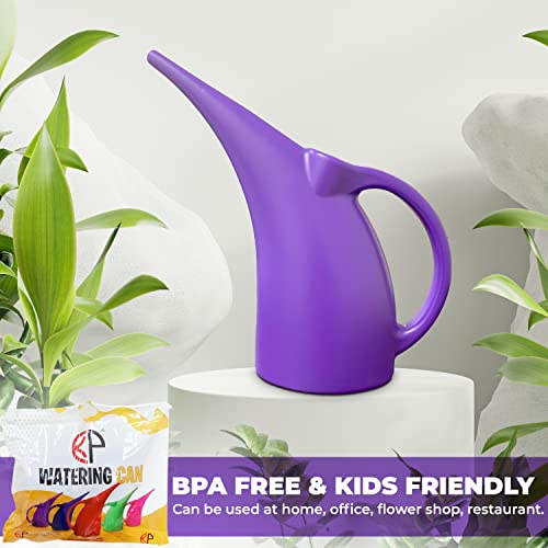 Kp Kool Products (1 Pack) 1/2 Gallon Plant- Mini - Indoor Watering Can For Outdoor Plants - Flower Watering Can - Bpa Free (Blue) #TOP5