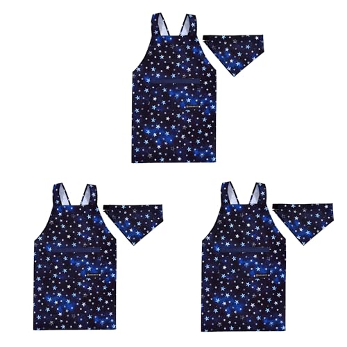 COLORFUL CANDY STYLE バッククロス子どもエプロン(100〜120cm) 撥水ノーアイロン スターリングシルバー 3枚セット 男の子 かっこいい 子供用 子供 エプロン 三角巾 セット キッズエプロン 幼児 小学生 可愛い かわいい おし