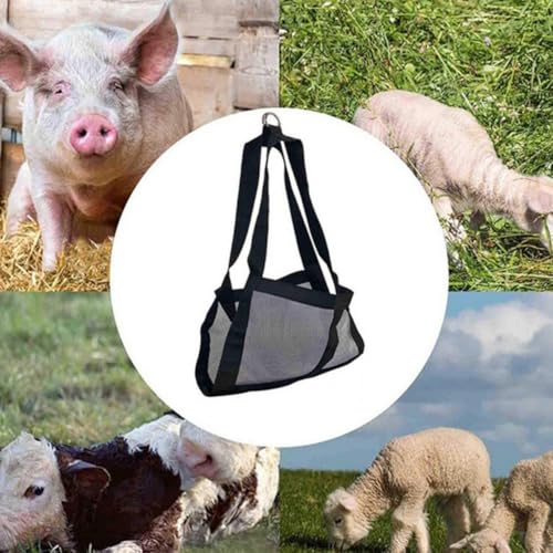 Arnés para pesar mascotas transpirable de malla de nylon fiable 6