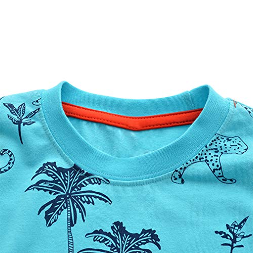 Image of Little Boys Shorts Set Toddler Boys 100% Cotton Summer Short Sleeve T-Shirts and Shorts Clothing Sets 2PCS