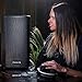 Pioneer DJ XPRS122 12-inch Active Loudspeaker Speaker - Black