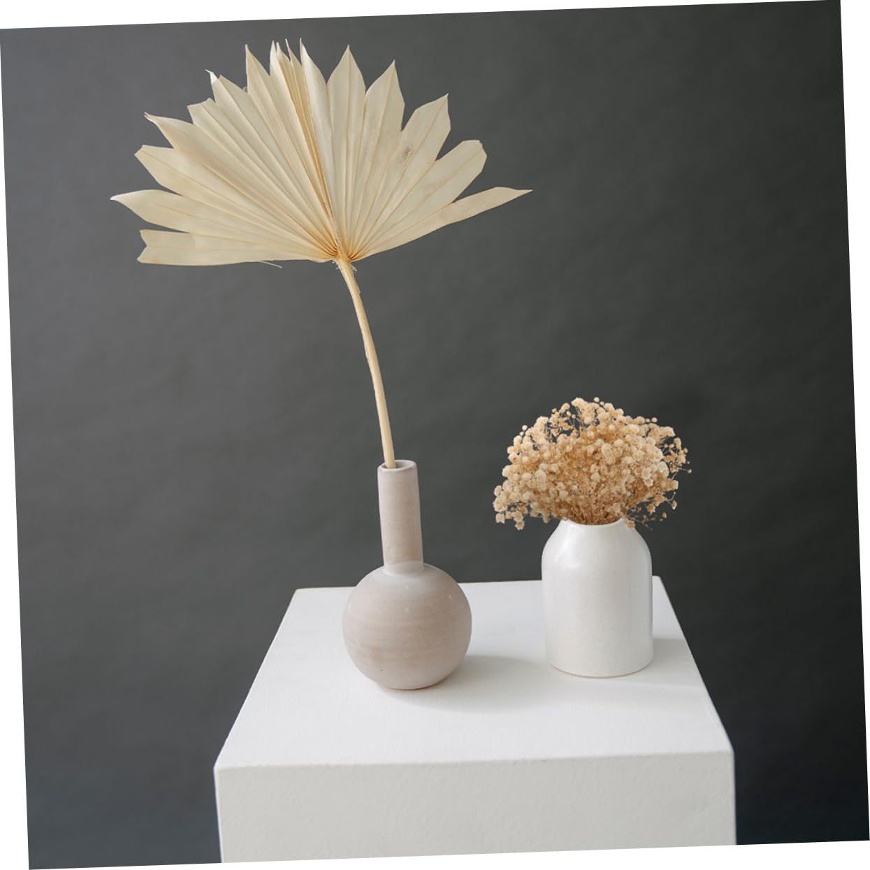 Cabilock 4 Pièces 10 Petit Bouquet de gypsophile Fleurs séchées Bouquet séché sachets bouda Decoration Interieure Fleur sechees Ornement de Bouquet créatif Faux Bouquets décoratifs Beige