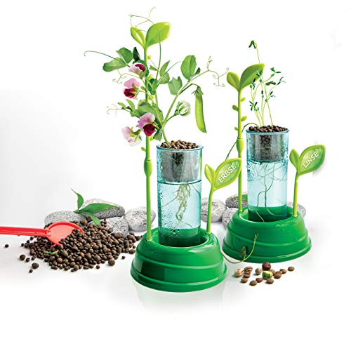 Clementoni Galileo Nature – Botanik und Hydrokultur mit Pflanzkasten & Samen für Mini-Gärtner - Spielzeug für Kinder ab 8 Jahren - spannendes Gewächshaus für Zuhause von Clementoni 59065 – Bild 3
