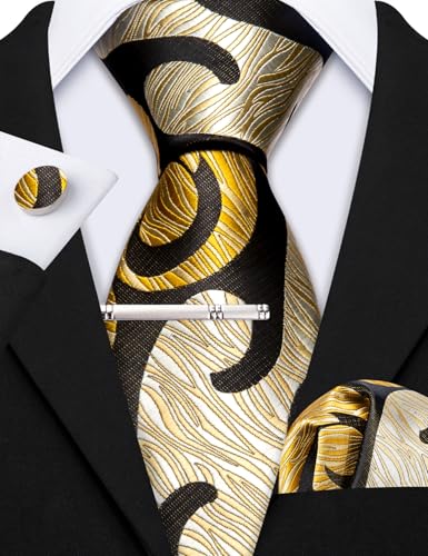 Image of Barry.Wang 6 PCS Men Ties Set Silk Business Fashion Woven Necktie Handkerchief Cufflinks Paisley Stripe Wedding Party