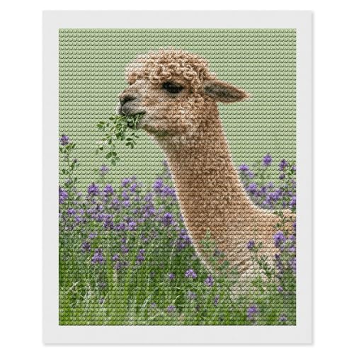 Kit peinture diamant 5D loisir créatif maccbn toile 40x50 cm décoration murale débutant