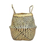 Maia Shop Cesta de Mimbre, Macetero para Decoración del Hogar, Plantas, Cesta Plegable (S - 23x21x22 cm, Lineal)