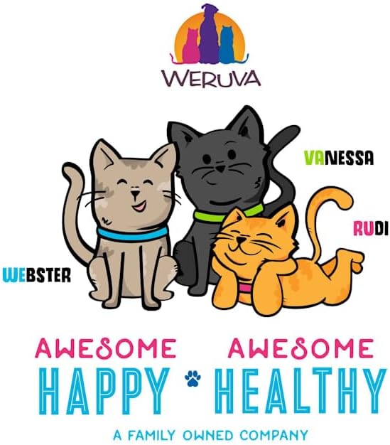 Weruva BFF OMG Gravy It's Gravy, Baby Variety Pack Wet Cat Food