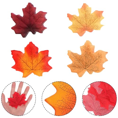 Hojas secas Kitchen 6 Imagen adicional