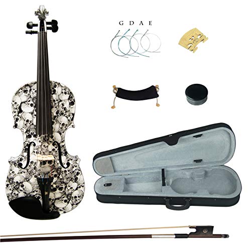 Best Fitted Violin With Cases