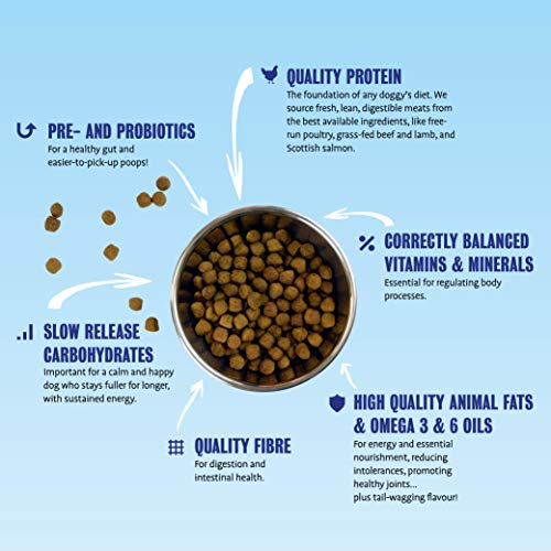 barking heads doggylicious duck 12kg