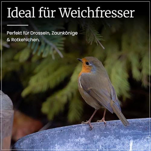 Erdtmanns Fettfutter für Wildvögel, 1er Pack (1 x 5 kg)