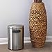 NINESTARS DZT-5-1S Automatic Touchless Infrared Motion Sensor Trash Can, 1.2 Gal 5L, Stainless Steel Base (Round, Stainless Steel Lid)