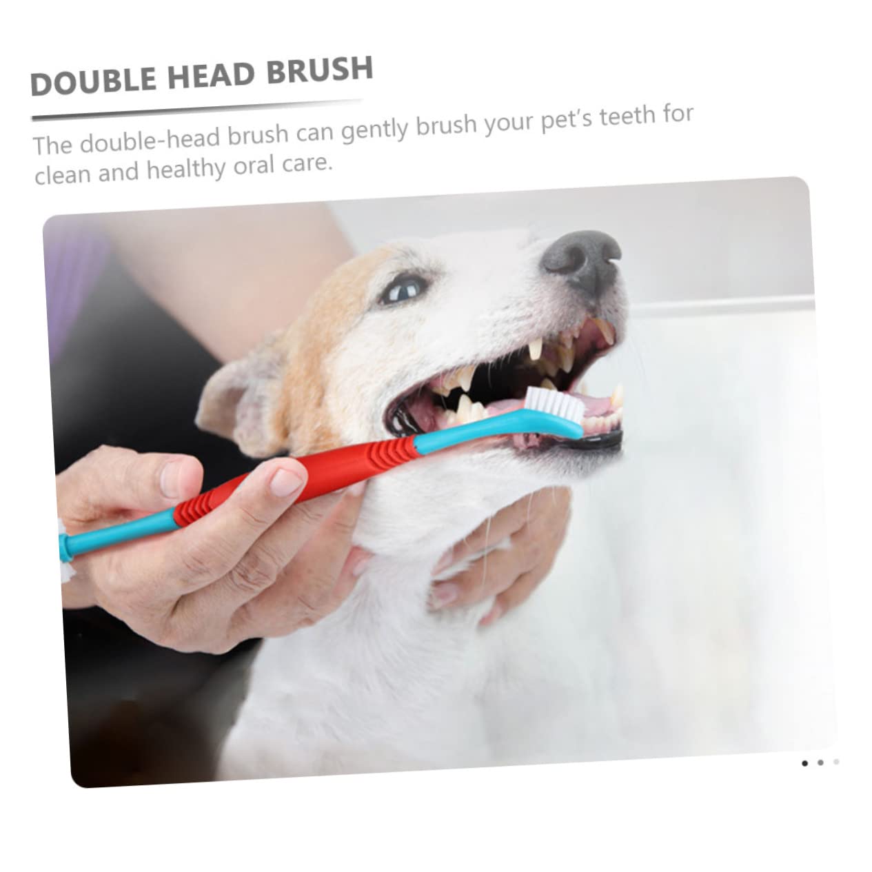 INOOMP 12 Pièces brosse à dents pour animaux de compagnie brosse à dents brossette nettoyeur de dents de chiot souple pour animaux de compagnie doux