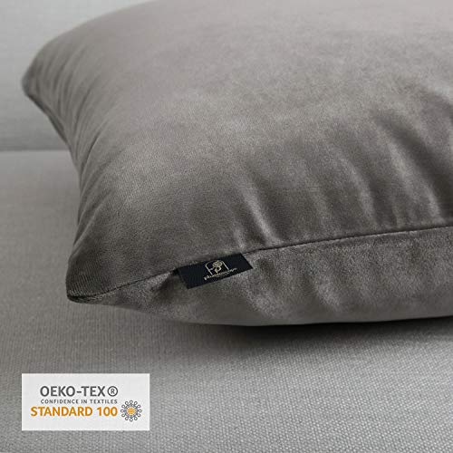 Phantoscope Pack of 2 Velvet Decorative Throw Decorative Pillow Cover Soft Solid Square Cushion Case for Couch Dark Grey 24 x 24 inches 60 x 60 cm