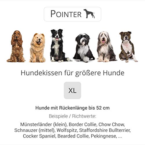 Pointer | Urban Hundekissen Mittelgroße Hunde, 70x60 cm - Orthopädisches Hundebett Waschbar bis 95°C, Geruchsfrei, Robust, Indoor & Outdoor, Made in Germany (XL - 70x60 cm, Goldbraun)