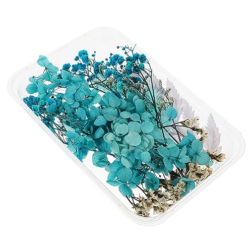 Kit de Flores Secas para Manualidades 1 set miniatura 1