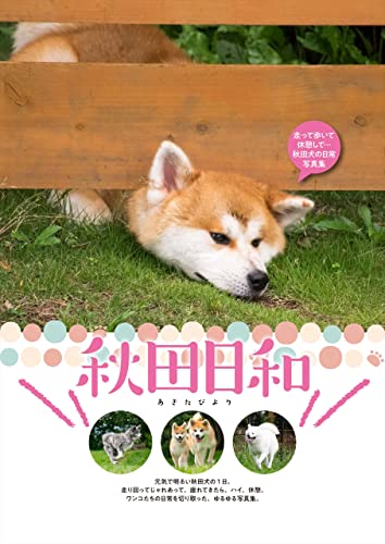 秋田日和 (六花舎ブックス)