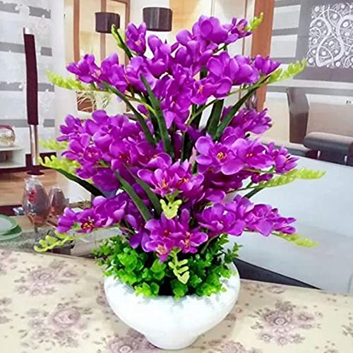 Rode Phalaenopsis Zaden, 100 Stks/zak Phalaenopsis Zaden Orchidee Bloem Bonsai Planten Multi-Color Bloei Indoor Outdoor… - Afbeelding 8