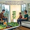 SJZX Hydroponics Growing System Kit, 5-Layer Hydroponic Tower, 30 Planting Holes, Space-Saving Vertical Gardening System, Suitable for Both Indoor and Outdoor use Germination Kits #5