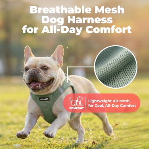 Image of Voyager Step-in Air Dog Vest Harness - Moss Green, X-Small