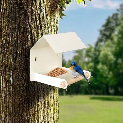 Mangeoire à oiseaux extérieur pour pinçons et moineaux de jardin