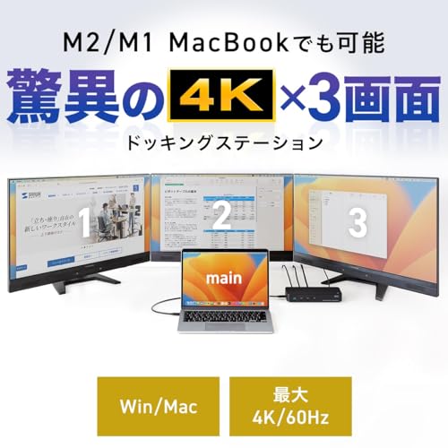 サンワダイレクト Type-C ドッキングステーション 3画面出力 4K HDMI PD 100W LAN イヤホンジャック DP 専用ACアダプタ付き Win/mac対応 10-in-1 400-VGA023