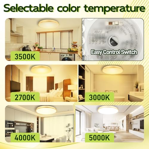 Image of hykolity 32 Inch Oval LED Ceiling Light,60W,4000LM,5CCT