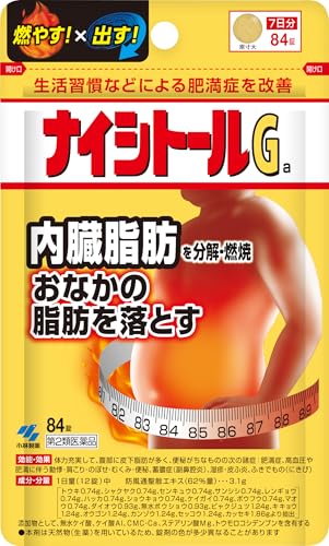 【第2類医薬品】ナイシトールGa 84錠