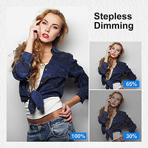 Neewer 18-Inch White Led Ring Light With Silver Light Stand Lighting Kit Dimmable 50W 3200-5600K With Soft Filter, Hot Shoe Adapter, Cellphone Holder For Make-Up Video Shooting #TOP3