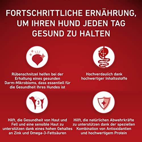 PURINA ONE Mini/Small Delicate Hundefutter trocken für kleine Hunde, reich an Lachs & Reis, 8er Pack (8 x 800g)