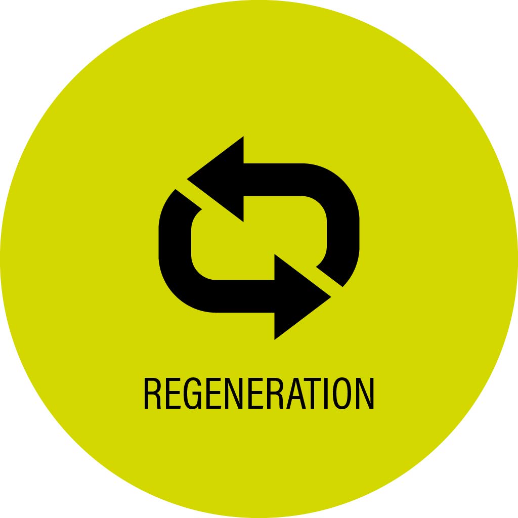 Recovery Drink mit BCAA & Peptide, Regenerationsgetränk nach dem Sport, Energy Drink, Orange | 700 g