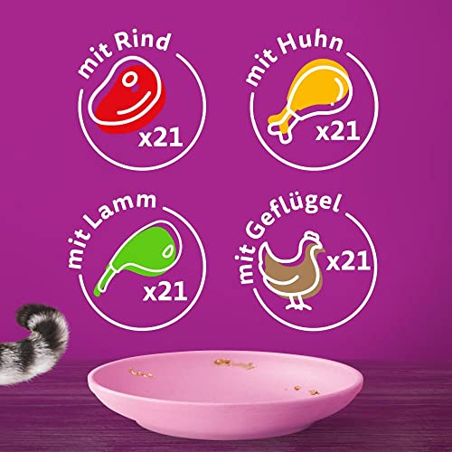 Whiskas Junior Katzennassfutter Klassische Auswahl in Sauce, 84 Portionsbeutel, 84x85g (1 Großpackung) – Hochwertiges Katzenfutter nass, für heranwachsende Katzen von 2 bis 12 Monaten