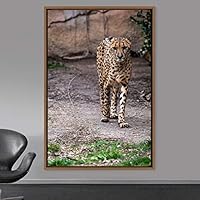 Framed Canvas Wall Art Cheetah Animals Cheetah Dramatic Living Room Multicolor Photography - 16x24 inches