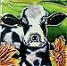Continental Art Center SD-079 4 by 4-Inch Cow Ceramic Art Tile