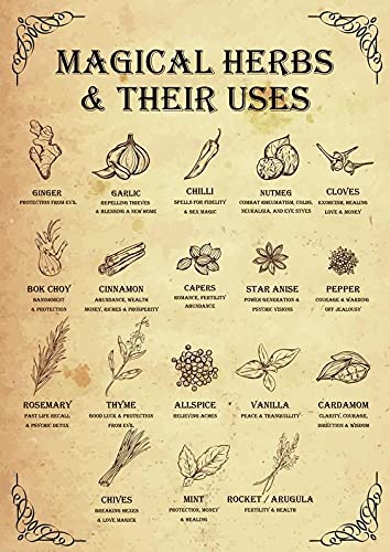 Berryi Magical Herbs and Their uses Witchy Poster Witchcraft Kitchen Witch Magic Tin Sign Retro Metal Tin Sign Cafe Family Farm Bathroom Garden Wall Decoration Art 8x12 Inch