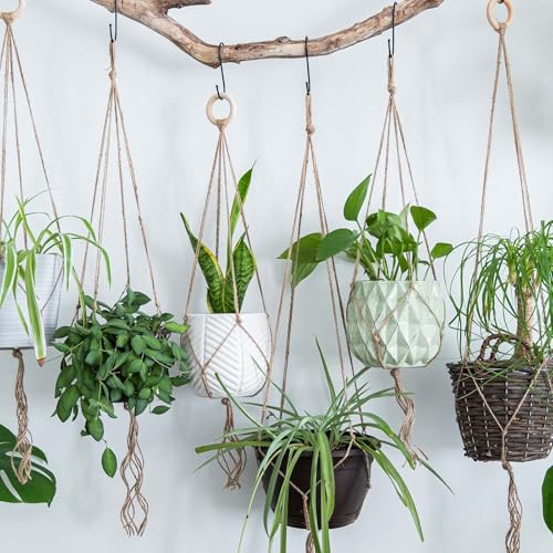 Anneaux en bois de 40mm pour vos suspensions de plantes bohèmes