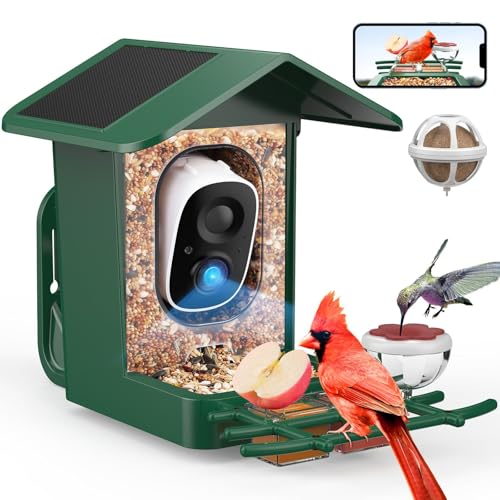 PeckCam Bird Feeder