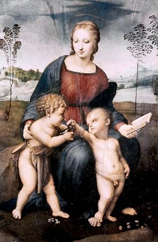 Affiche Décorative Graffiti Art Mural Raffaello Sanzio Poster Tableau Maison 60x90cm