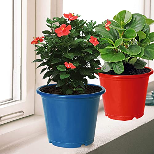 Image of Kuber Industries Durable Plastic Flower Pot|Gamla for Indoor Home Decor & Outdoor Balcony,Garden,6 inchx5 inch,Pack of 3 (Black,Blue,Red)