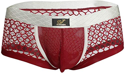 YiZYiF Men's Openwork Mesh Breathable Thongs Soft Bikini Swimwear (Wine Red, Large)