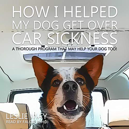 How I Helped My Dog Get Over Car Sickness A Thorough Program That May