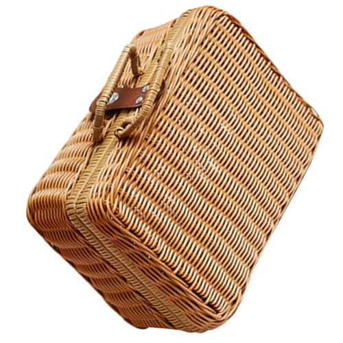 Healeved Maleta Tejida a Mano Retro de Ratán Sintético 35x24x12 Cm, Caja de Almacenamiento para Hogar y Picnic, Estuche Portátil Estilo Vintage en Color Caqui