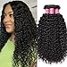 ALI JULIA Wholesale 3-Pack 10A Malaysian Virgin Curly Hair Weave Real Human Hair Weft Extensions Cheap Bundle Hair Products Natural Color 95-100g/pc (16 18 20 inch)