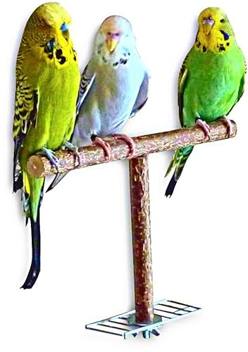 Vogelgaleria Aide à l'envol en Bois Accessoire de Cage à Oiseau Fait Main Cover