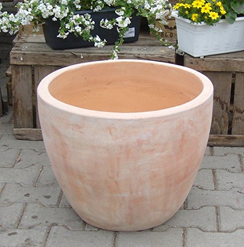 Generisch NEU ! Schöner Schlichter Blumentopf ø 31 cm aus Terrakotta Terracotta Pflanztopf Garten Deko Mediterran Blumenkübel Übertopf